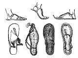 Sandle, Egyuptian